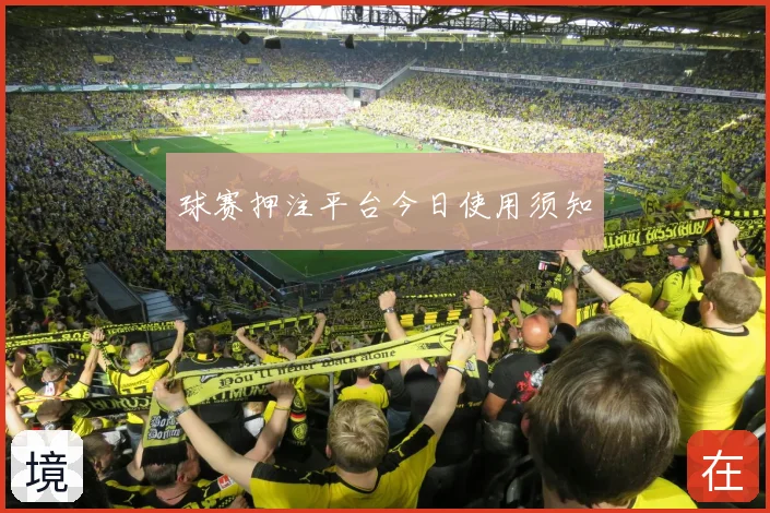 球赛押注平台今日使用须知